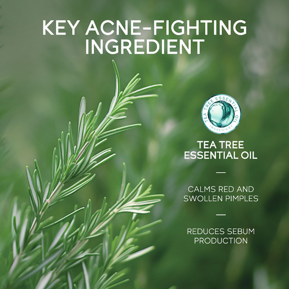 LAIKOU เจลทีทรีรักษาสิว 15 กรั - Tea Tree Spot Treatment บทวิจารณ์และราคา