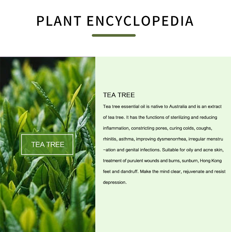 100% Pure Tea Tree น้ำมันหอมระ - Tea Tree Spot Treatment บทวิจารณ์และราคา
